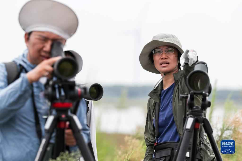 全新捕鱼注册